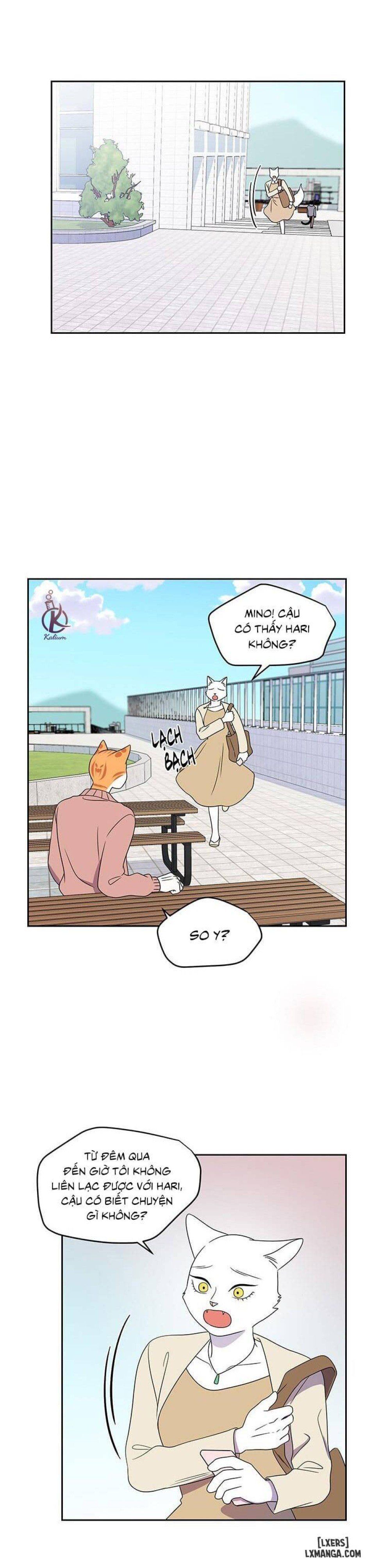 đọc truyện Dự Án Xanh Chương 20 ảnh 16 tại Thiên Thai Truyện