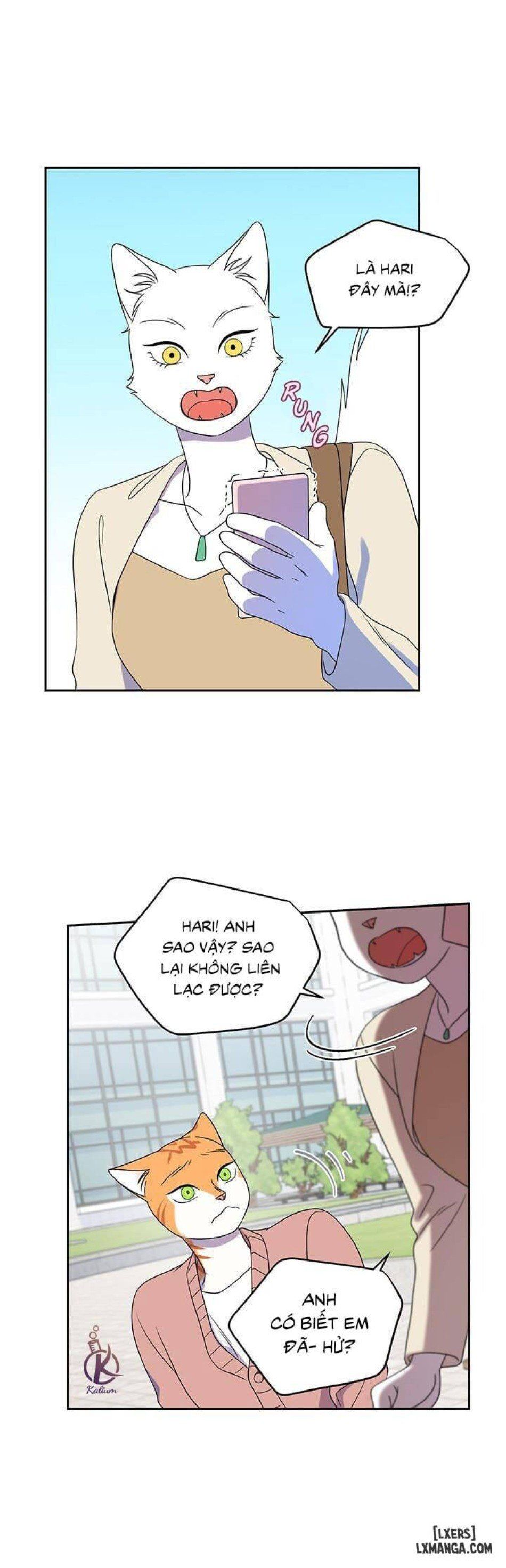 đọc truyện Dự Án Xanh Chương 20 ảnh 18 tại Thiên Thai Truyện