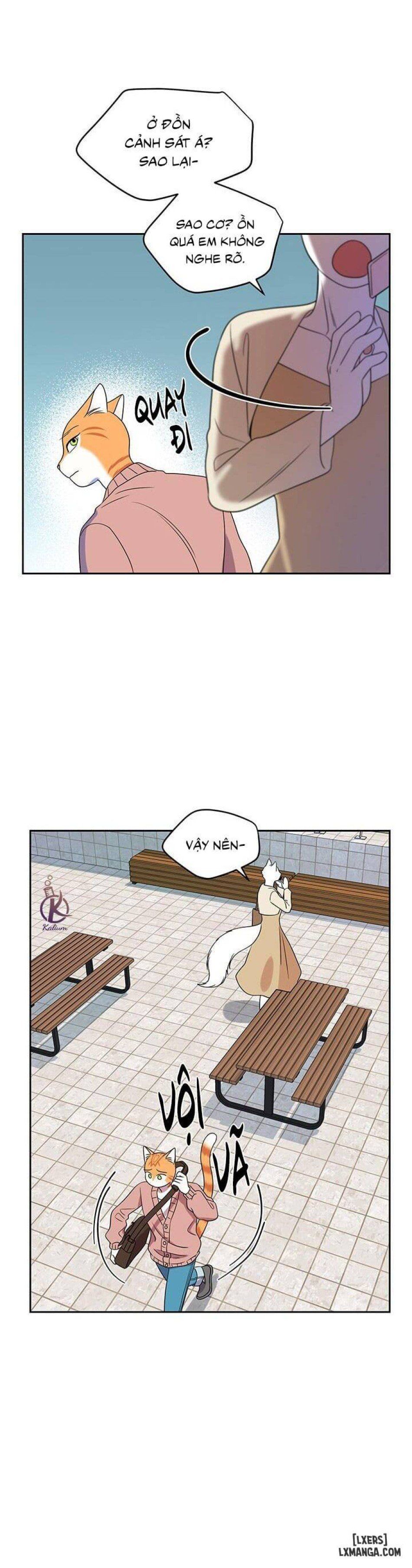 đọc truyện Dự Án Xanh Chương 20 ảnh 19 tại Thiên Thai Truyện