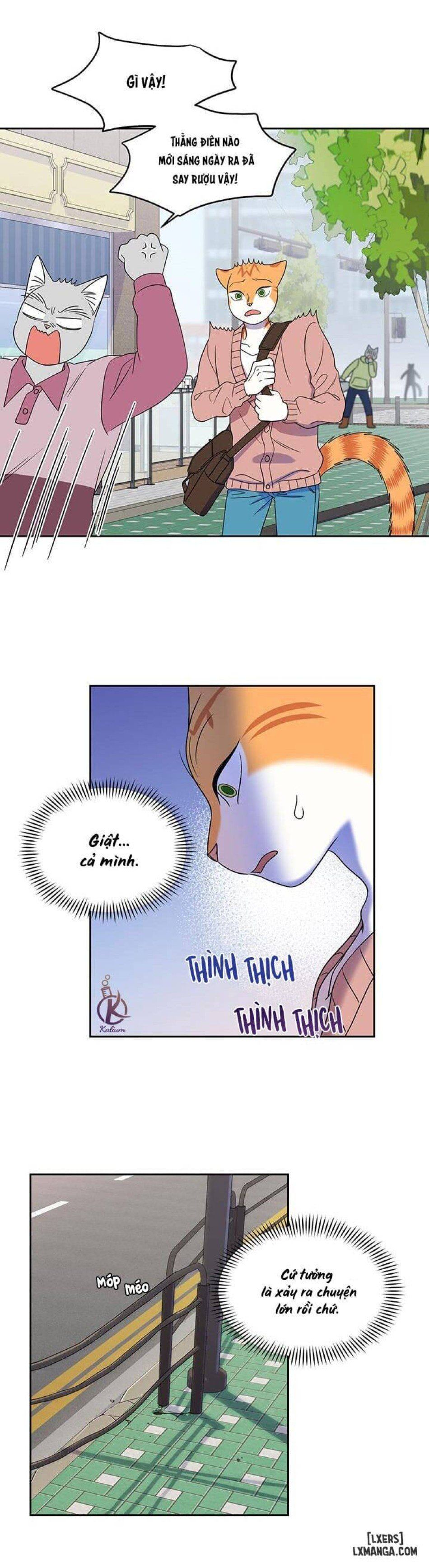 đọc truyện Dự Án Xanh Chương 20 ảnh 23 tại Thiên Thai Truyện