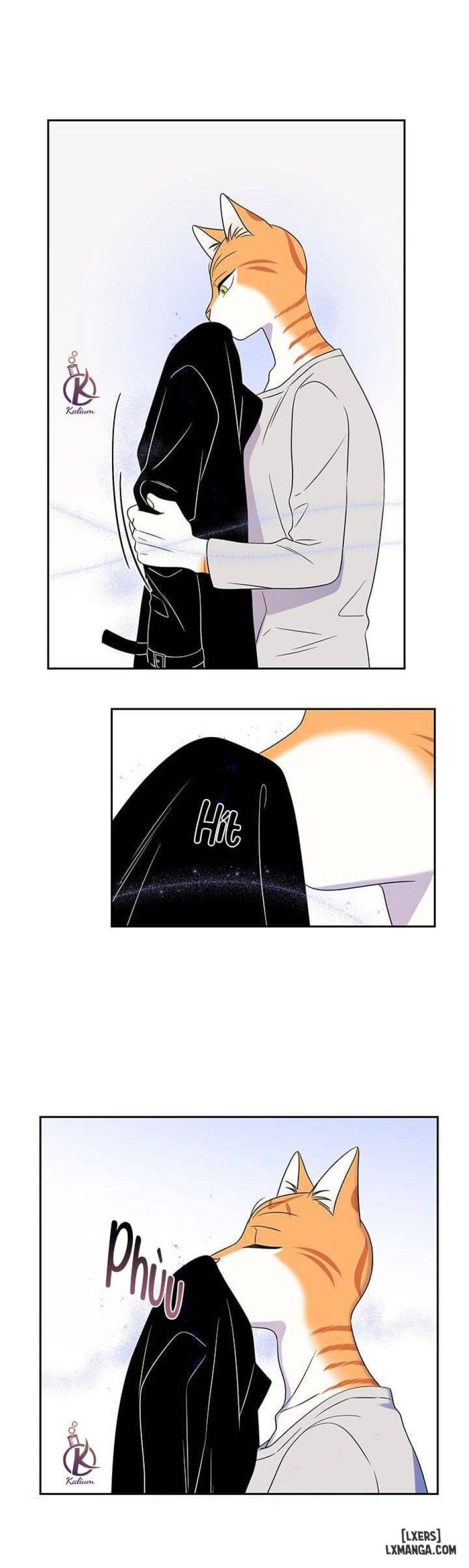 đọc truyện Dự Án Xanh Chương 20 ảnh 28 tại Thiên Thai Truyện