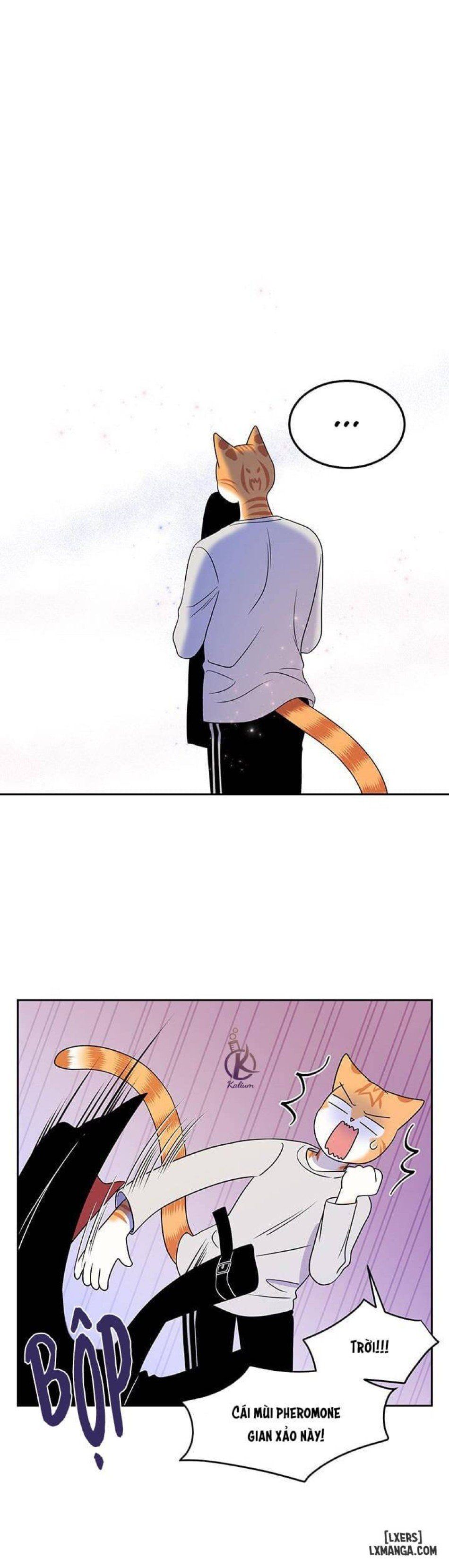 đọc truyện Dự Án Xanh Chương 20 ảnh 29 tại Thiên Thai Truyện