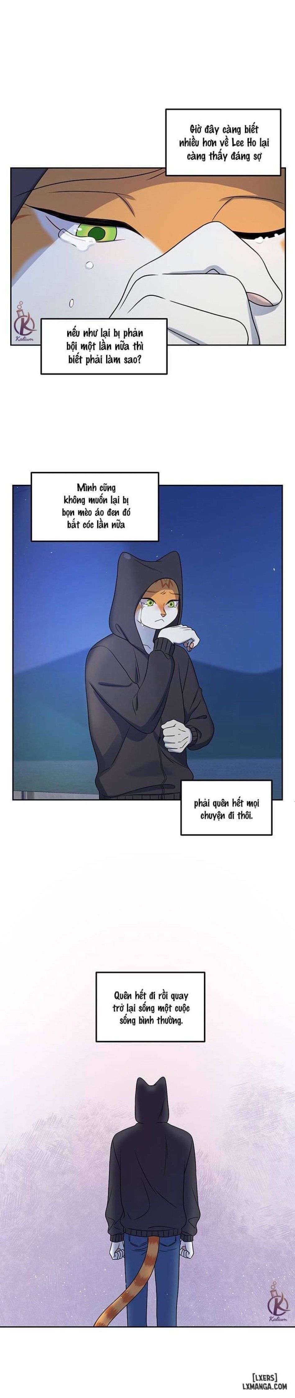 đọc truyện Dự Án Xanh Chương 20 ảnh 9 tại Thiên Thai Truyện