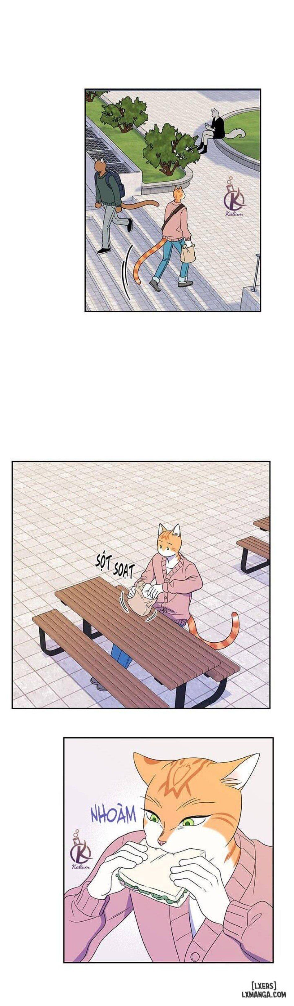 đọc truyện Dự Án Xanh Chương 20 ảnh 11 tại Thiên Thai Truyện