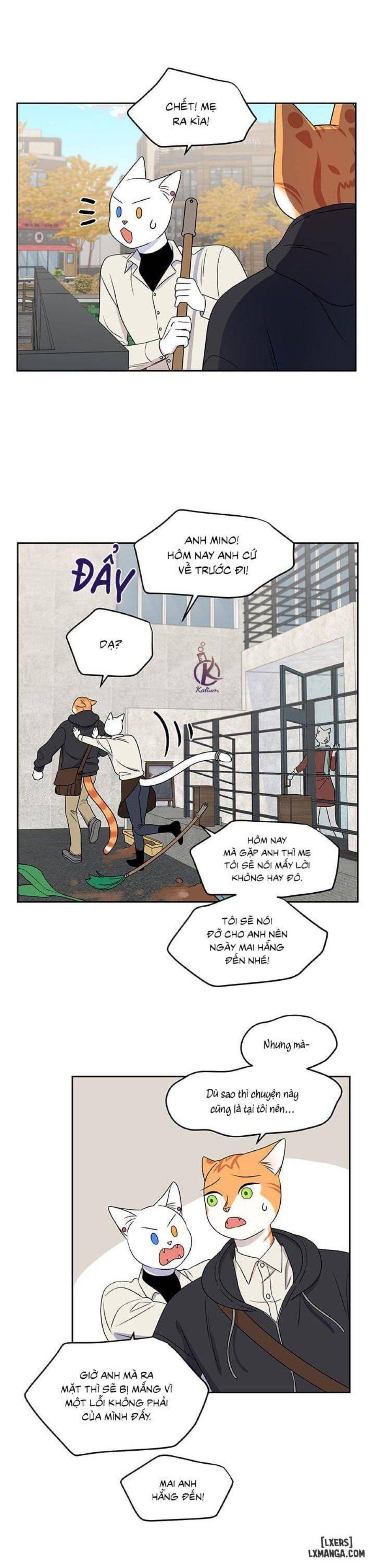 đọc truyện Dự Án Xanh Chương 21 ảnh 13 tại Thiên Thai Truyện