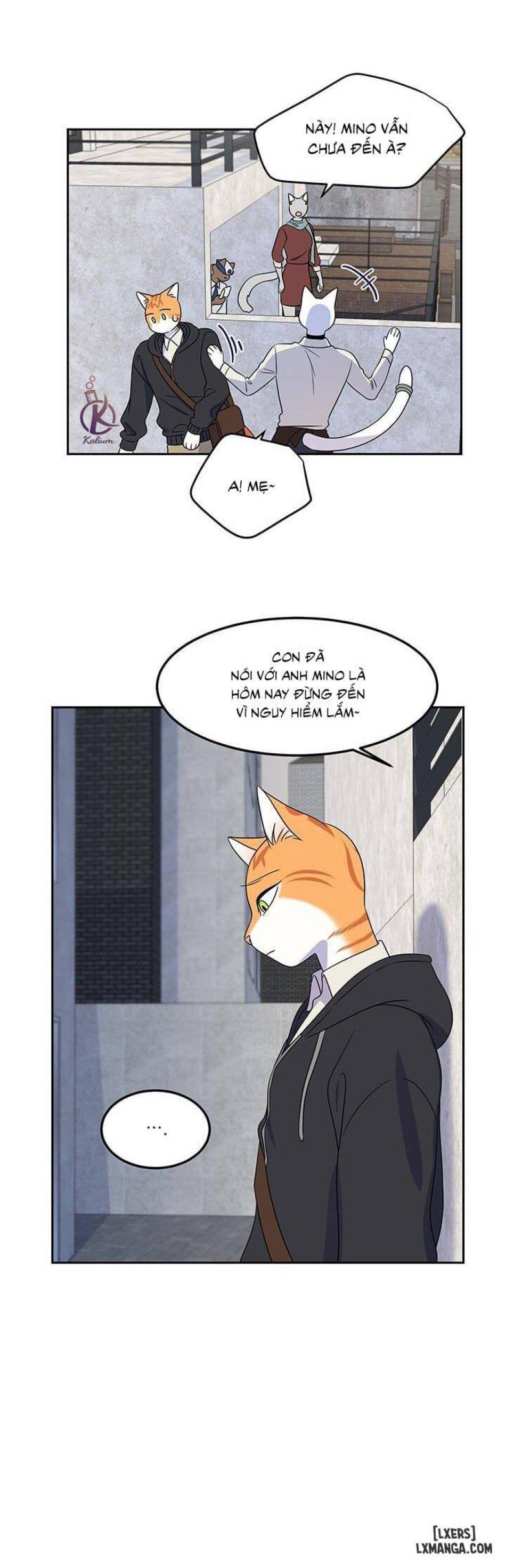 đọc truyện Dự Án Xanh Chương 21 ảnh 14 tại Thiên Thai Truyện