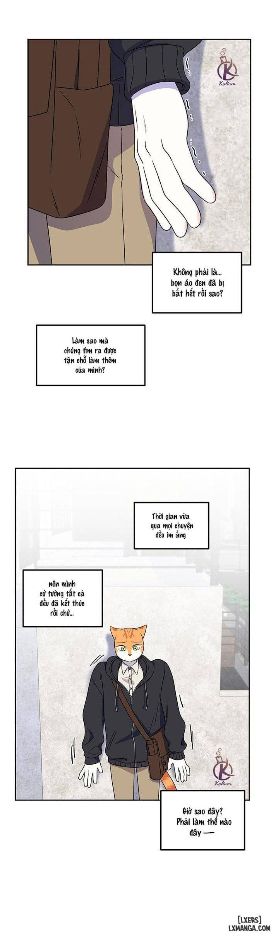 đọc truyện Dự Án Xanh Chương 21 ảnh 15 tại Thiên Thai Truyện