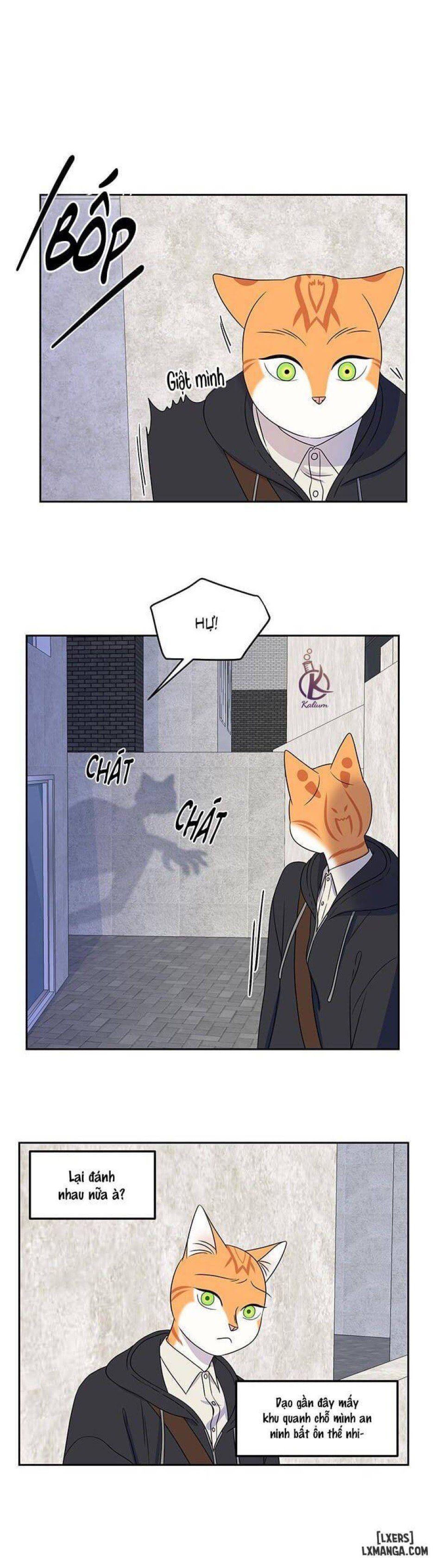 đọc truyện Dự Án Xanh Chương 21 ảnh 16 tại Thiên Thai Truyện