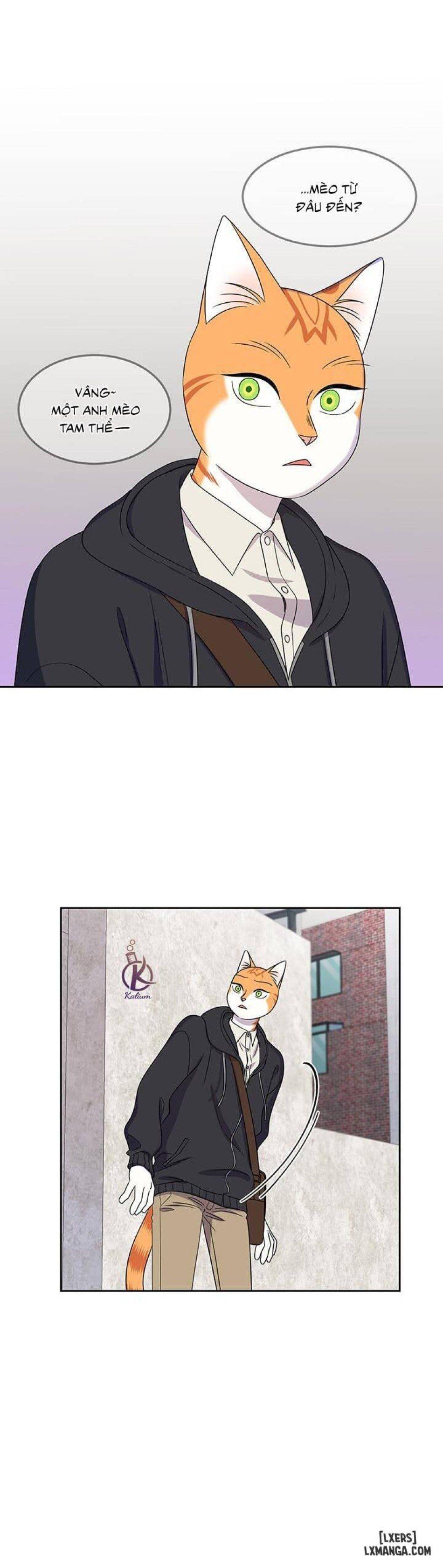 đọc truyện Dự Án Xanh Chương 21 ảnh 17 tại Thiên Thai Truyện