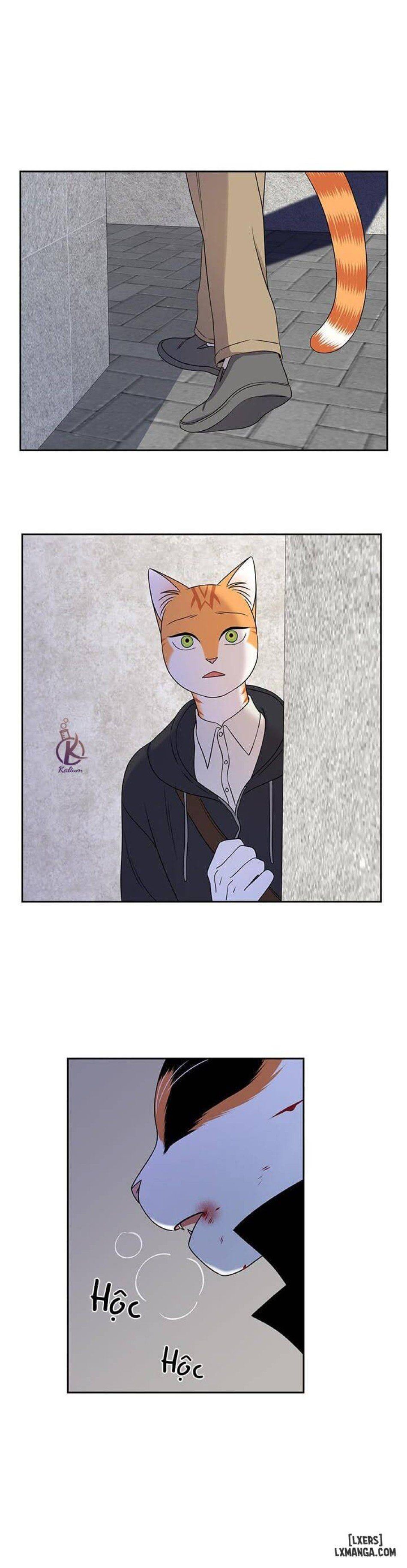 đọc truyện Dự Án Xanh Chương 21 ảnh 19 tại Thiên Thai Truyện