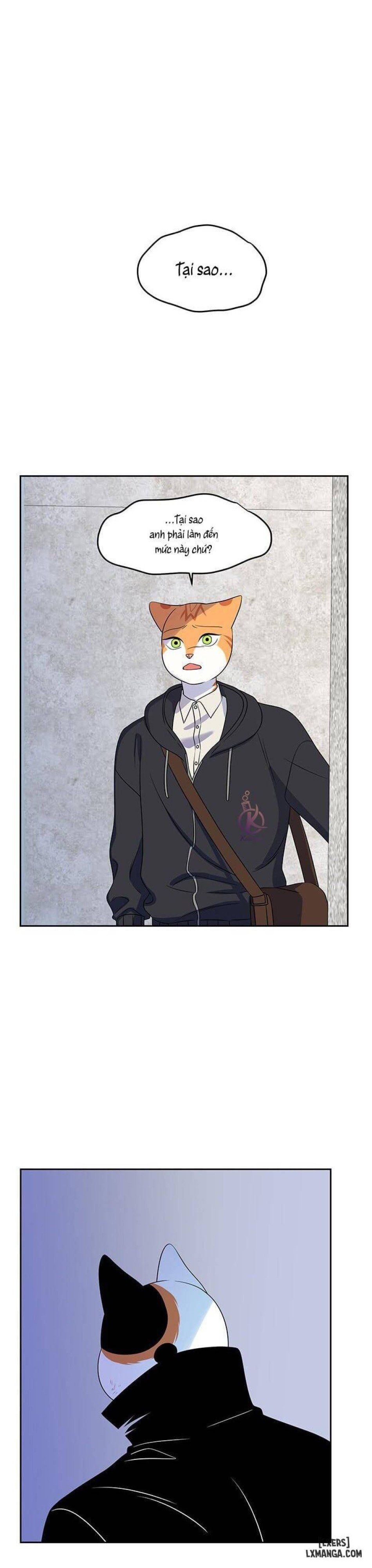 đọc truyện Dự Án Xanh Chương 21 ảnh 24 tại Thiên Thai Truyện