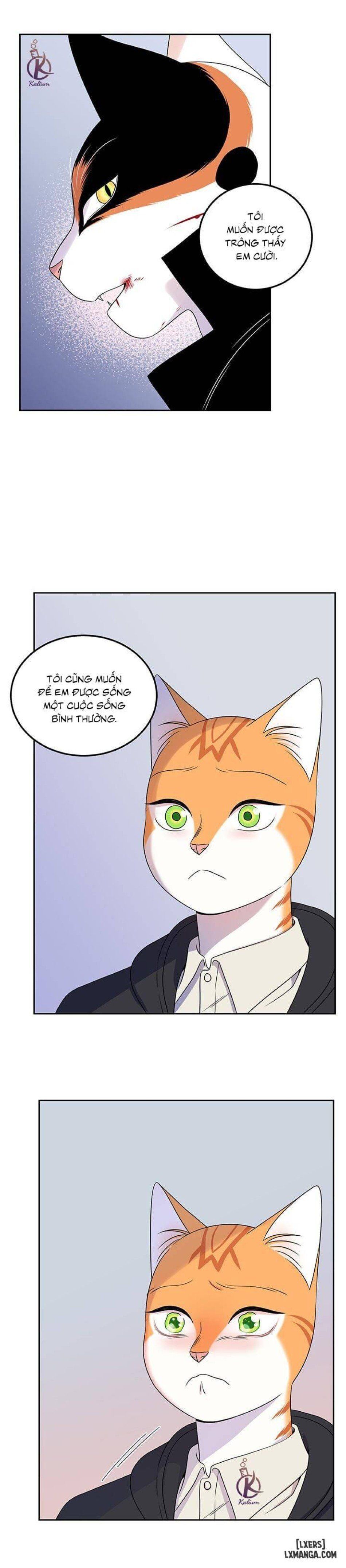 đọc truyện Dự Án Xanh Chương 21 ảnh 26 tại Thiên Thai Truyện