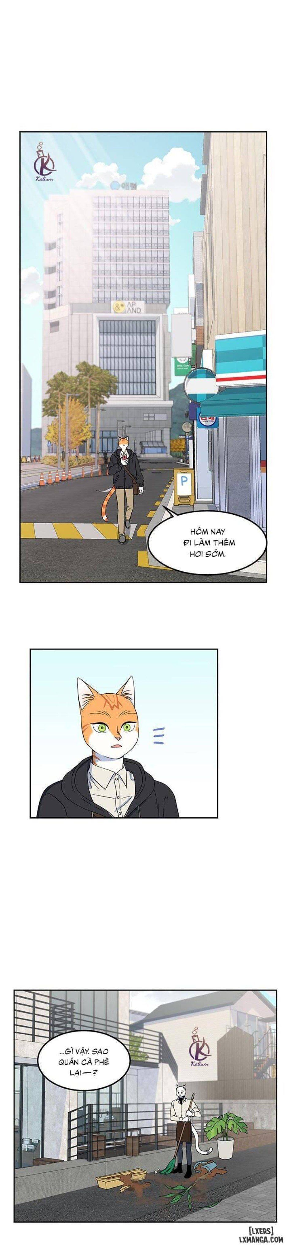 đọc truyện Dự Án Xanh Chương 21 ảnh 9 tại Thiên Thai Truyện