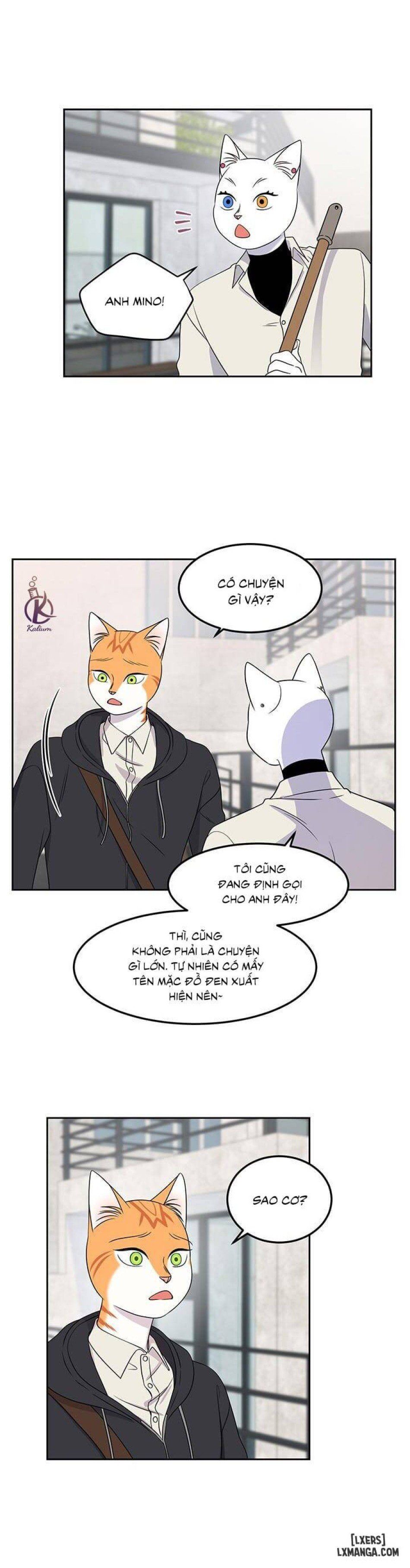 đọc truyện Dự Án Xanh Chương 21 ảnh 10 tại Thiên Thai Truyện