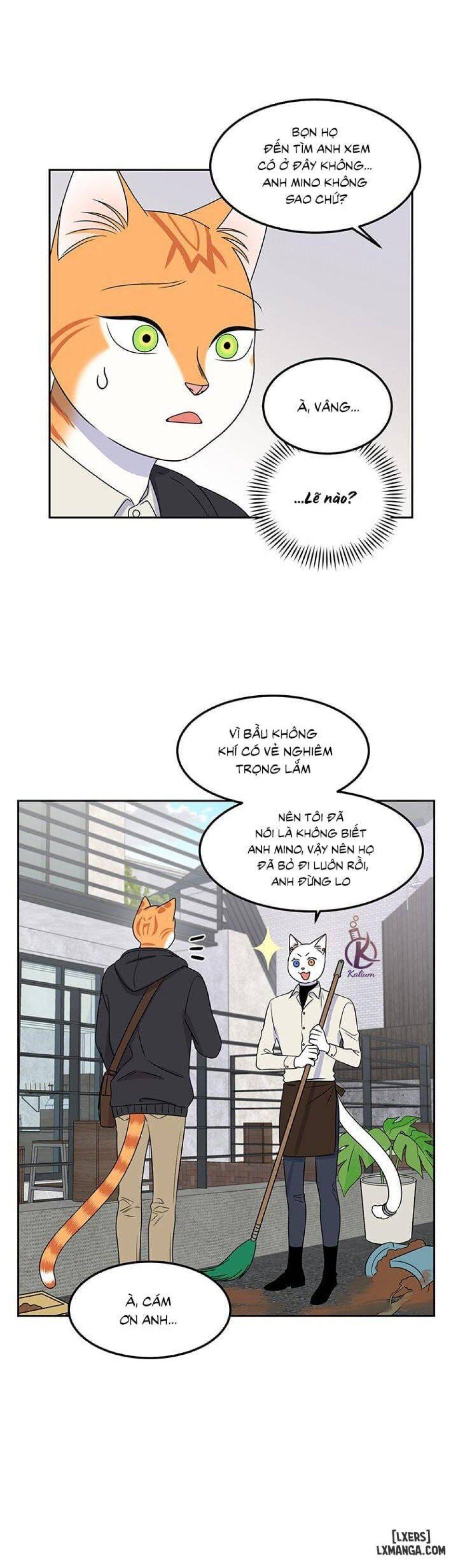 đọc truyện Dự Án Xanh Chương 21 ảnh 11 tại Thiên Thai Truyện