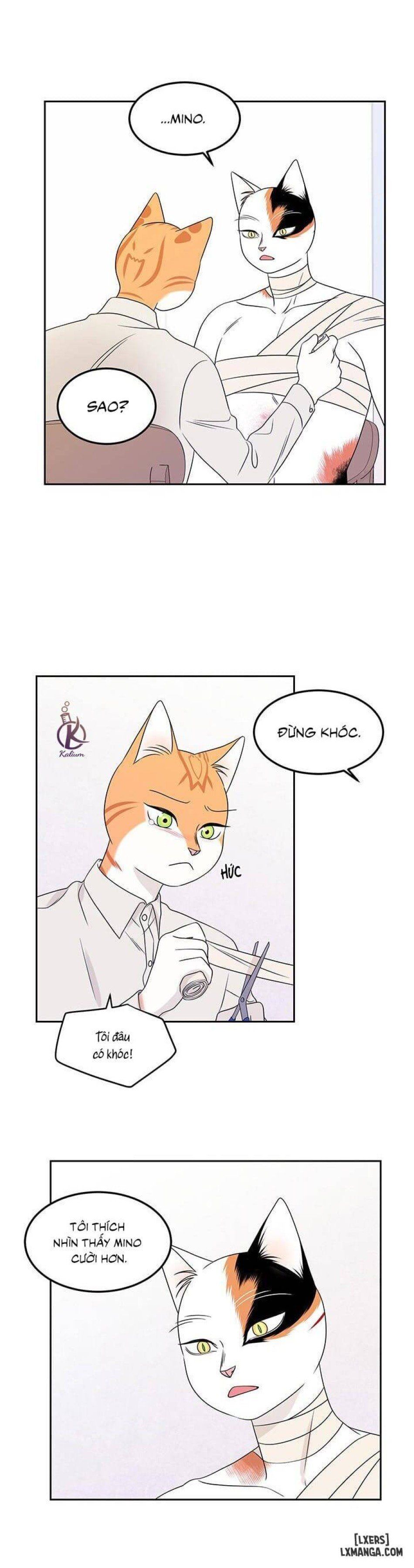 đọc truyện Dự Án Xanh Chương 22 ảnh 12 tại Thiên Thai Truyện