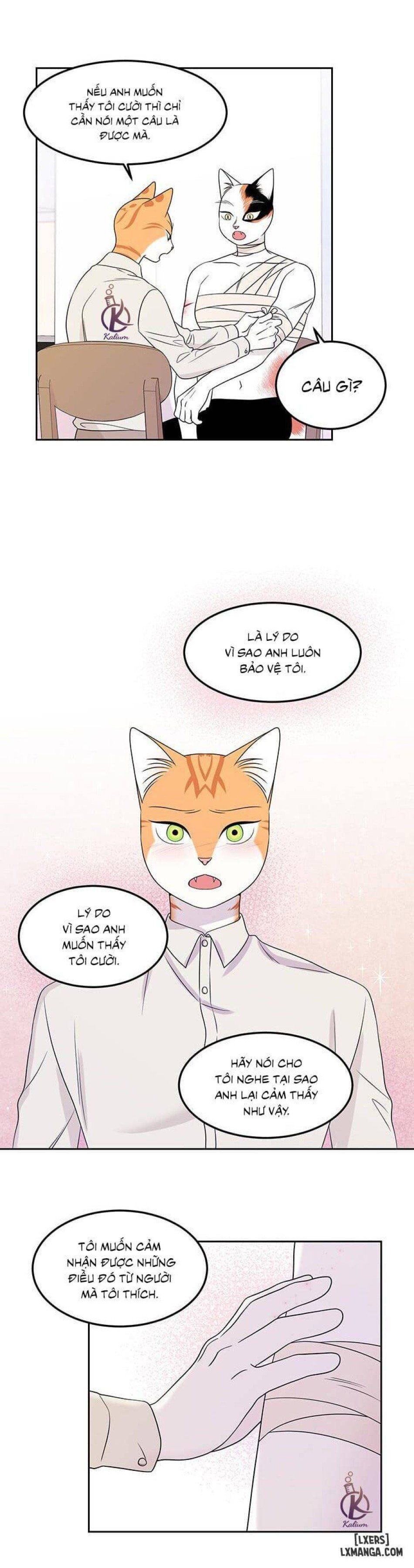 đọc truyện Dự Án Xanh Chương 22 ảnh 13 tại Thiên Thai Truyện