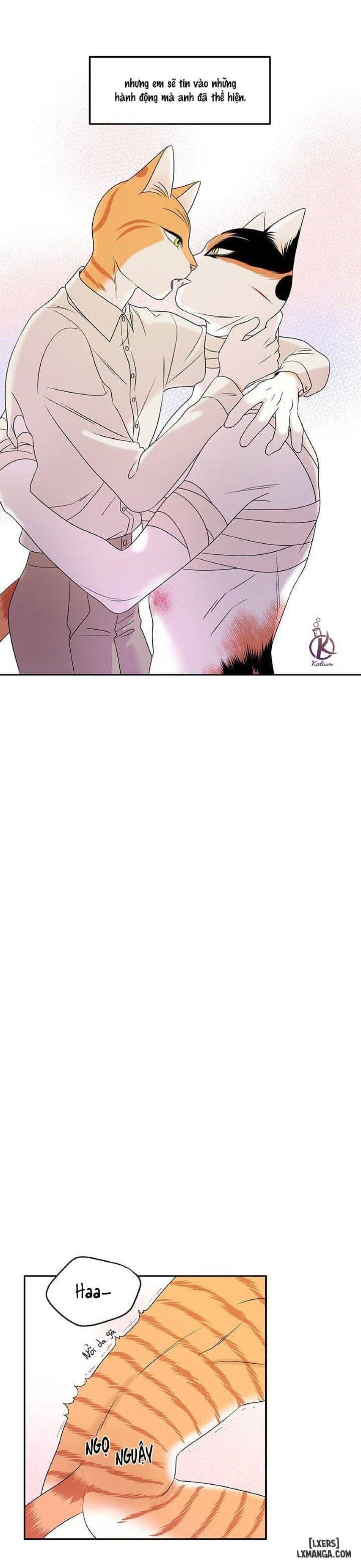 đọc truyện Dự Án Xanh Chương 22 ảnh 16 tại Thiên Thai Truyện