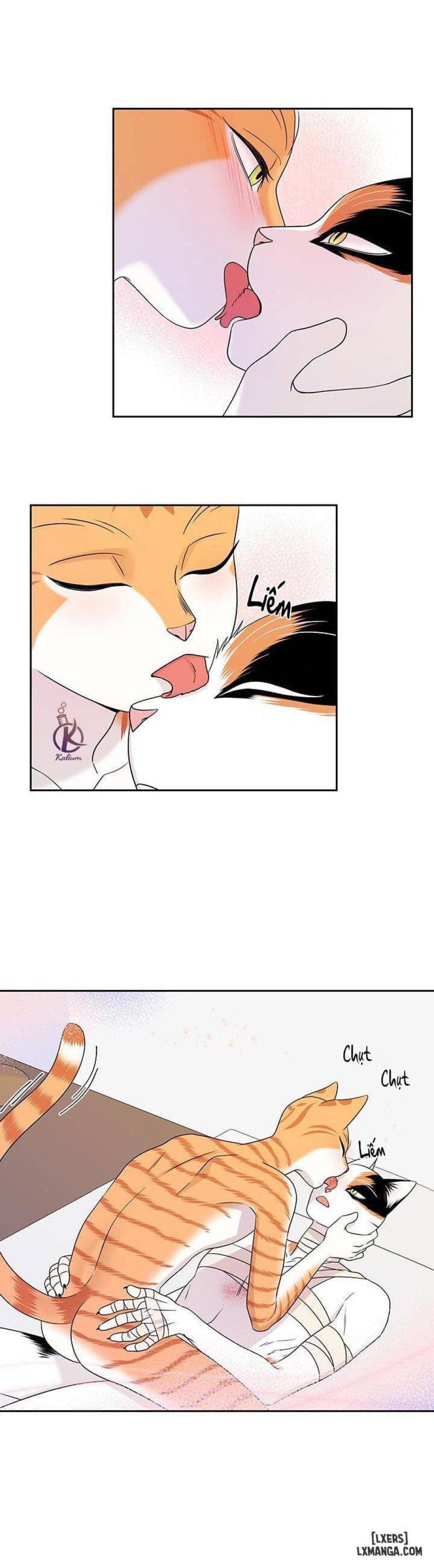 đọc truyện Dự Án Xanh Chương 22 ảnh 17 tại Thiên Thai Truyện