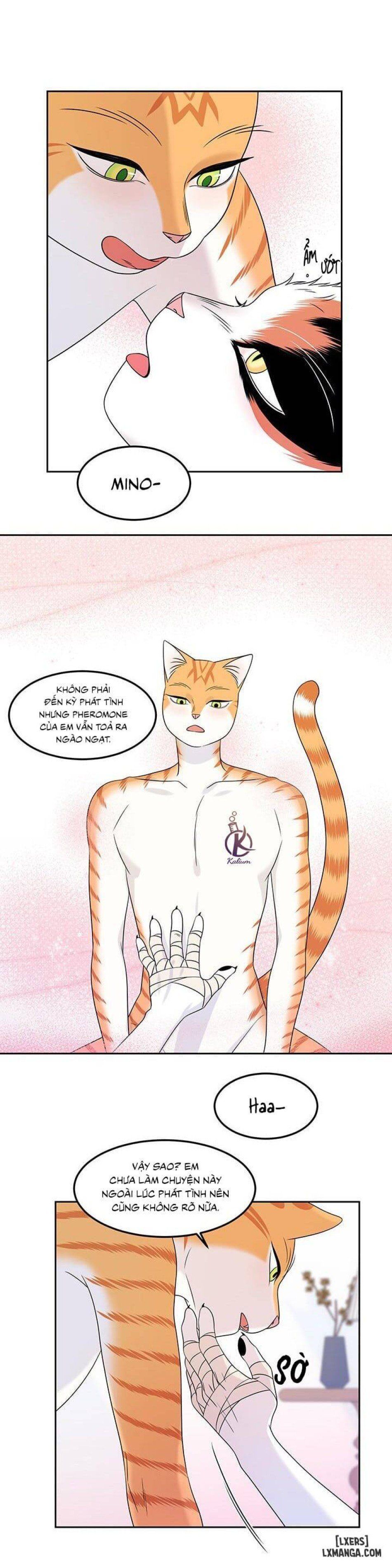 đọc truyện Dự Án Xanh Chương 22 ảnh 18 tại Thiên Thai Truyện