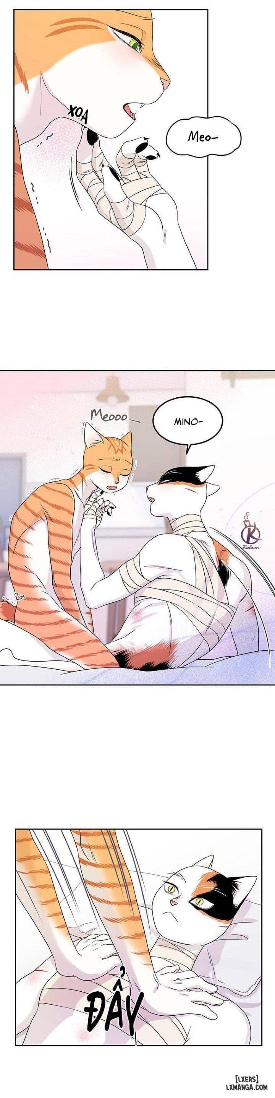 đọc truyện Dự Án Xanh Chương 22 ảnh 19 tại Thiên Thai Truyện