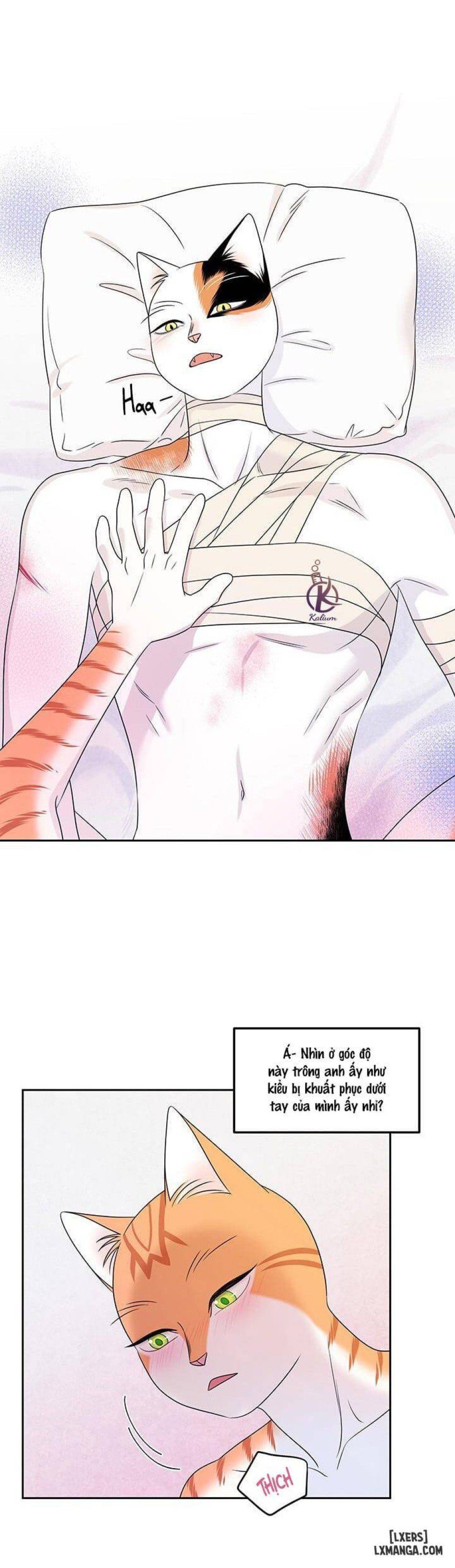 đọc truyện Dự Án Xanh Chương 22 ảnh 21 tại Thiên Thai Truyện