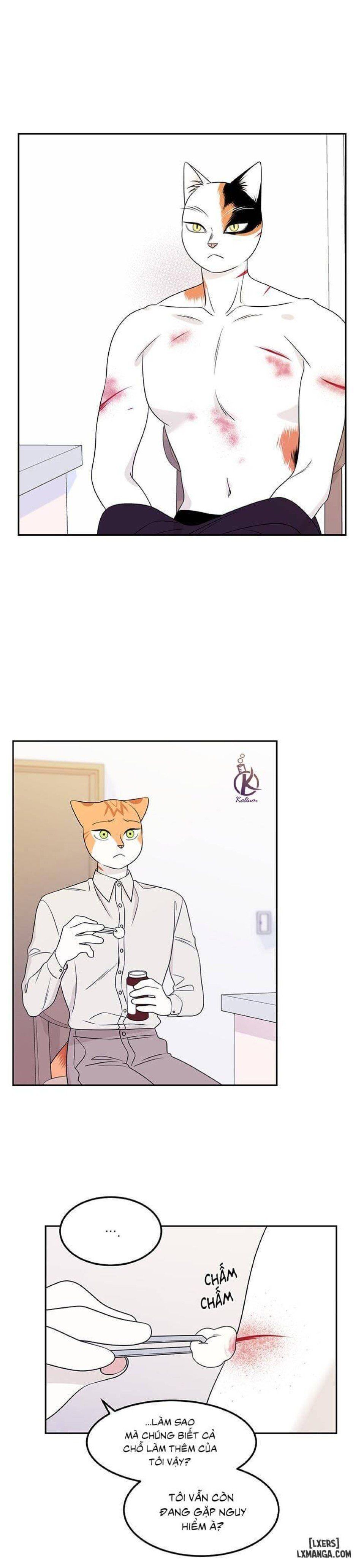 đọc truyện Dự Án Xanh Chương 22 ảnh 4 tại Thiên Thai Truyện