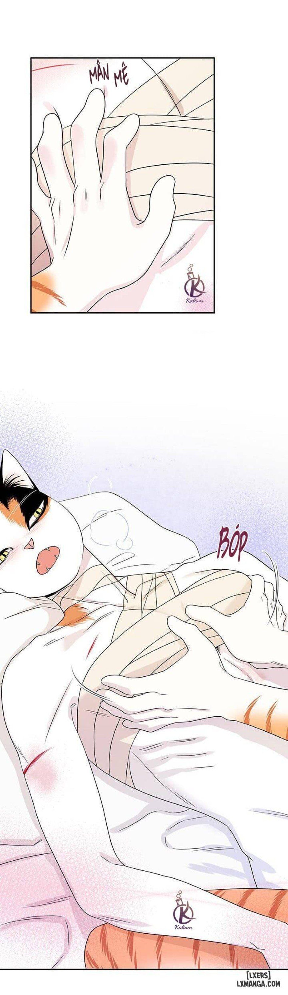 đọc truyện Dự Án Xanh Chương 22 ảnh 22 tại Thiên Thai Truyện