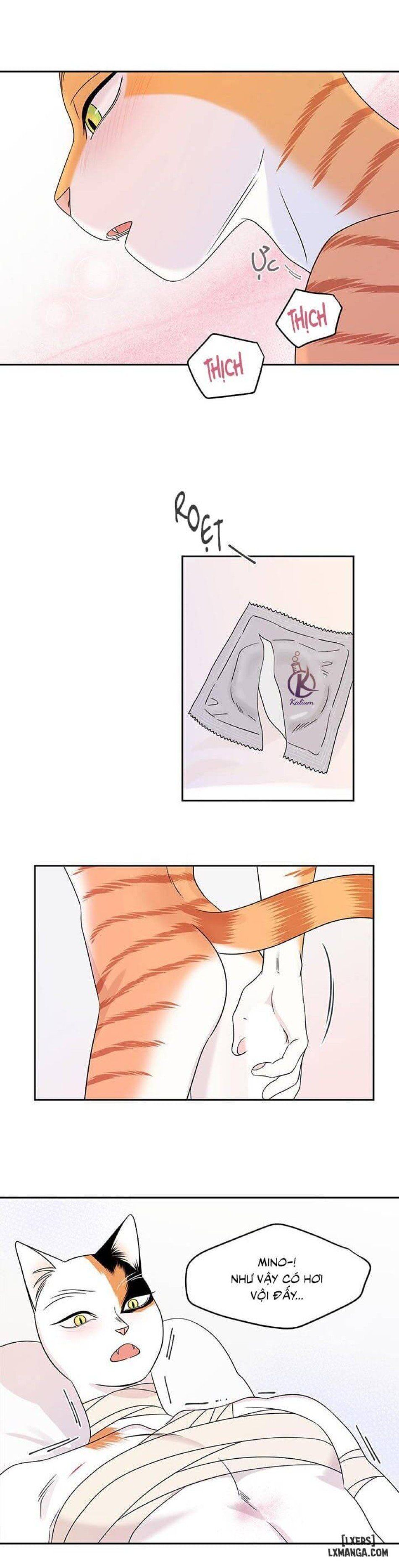 đọc truyện Dự Án Xanh Chương 22 ảnh 23 tại Thiên Thai Truyện