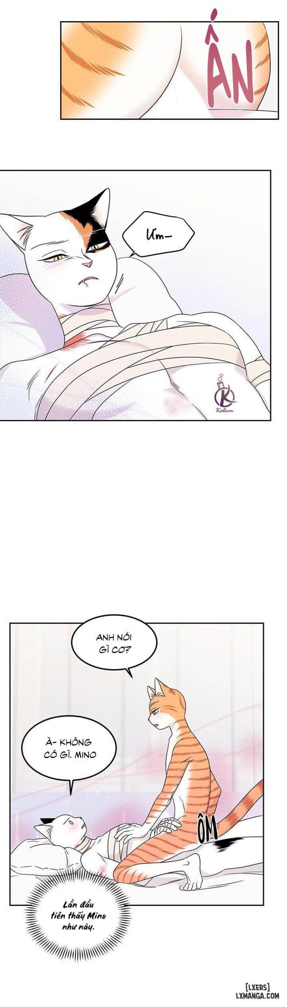 đọc truyện Dự Án Xanh Chương 22 ảnh 24 tại Thiên Thai Truyện