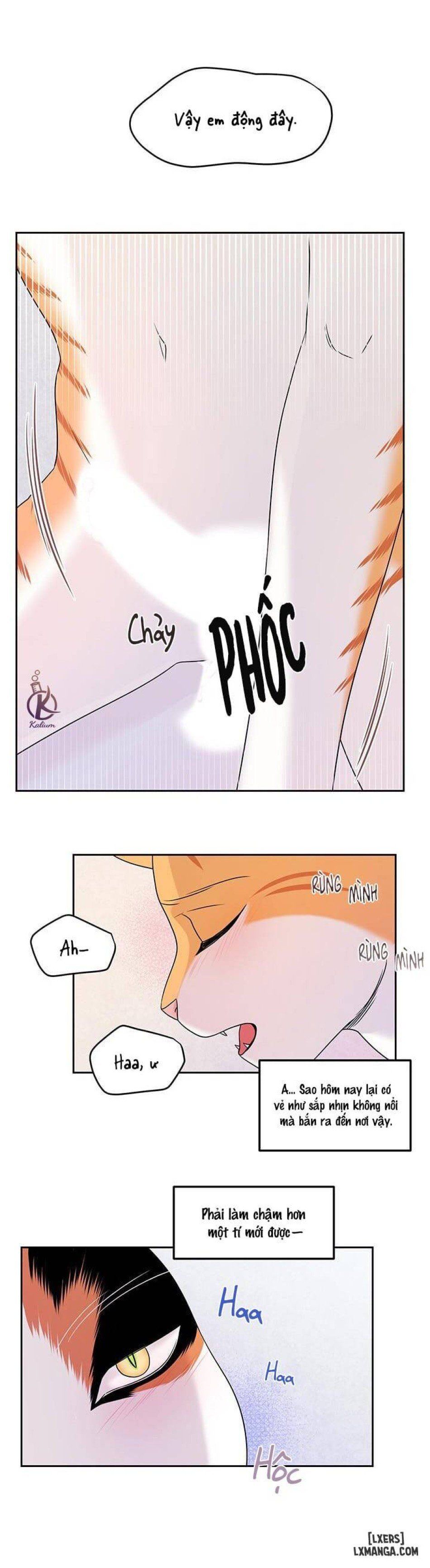 đọc truyện Dự Án Xanh Chương 22 ảnh 25 tại Thiên Thai Truyện