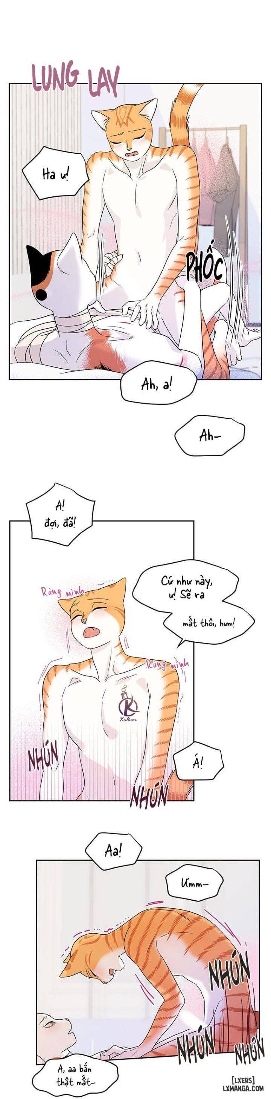 đọc truyện Dự Án Xanh Chương 22 ảnh 26 tại Thiên Thai Truyện