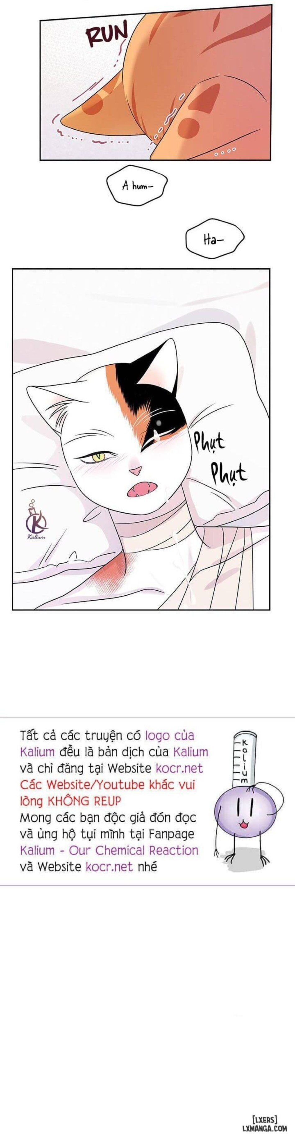 đọc truyện Dự Án Xanh Chương 22 ảnh 27 tại Thiên Thai Truyện