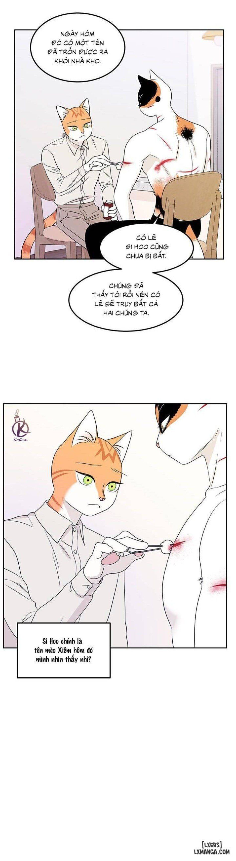 đọc truyện Dự Án Xanh Chương 22 ảnh 5 tại Thiên Thai Truyện