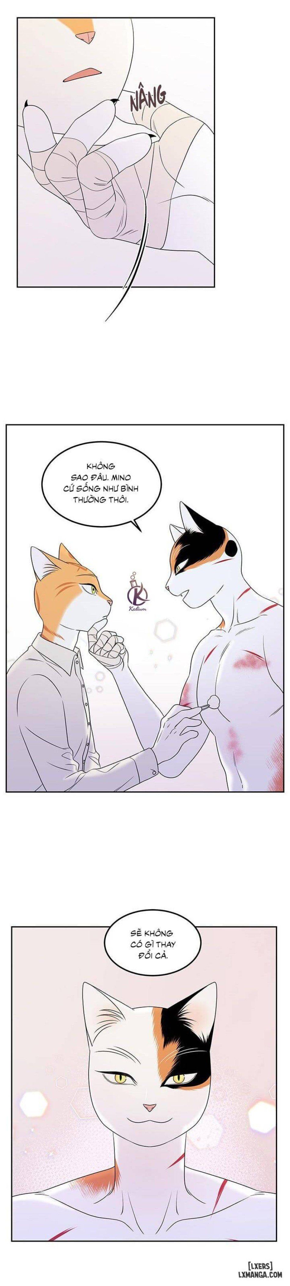 đọc truyện Dự Án Xanh Chương 22 ảnh 6 tại Thiên Thai Truyện