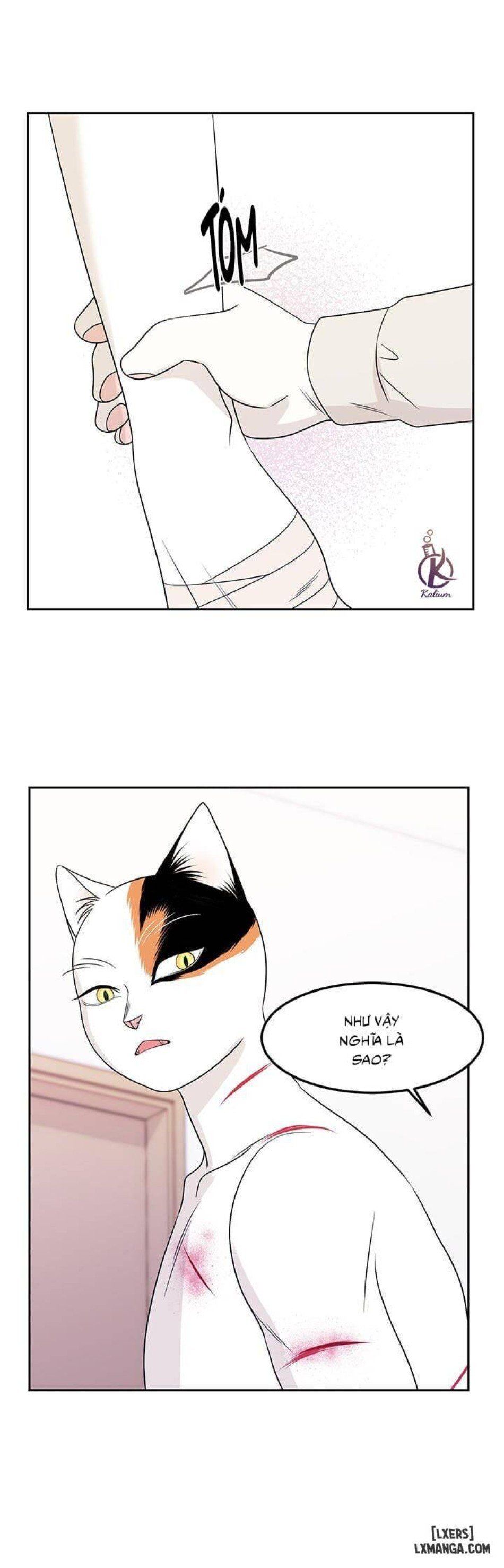 đọc truyện Dự Án Xanh Chương 22 ảnh 8 tại Thiên Thai Truyện