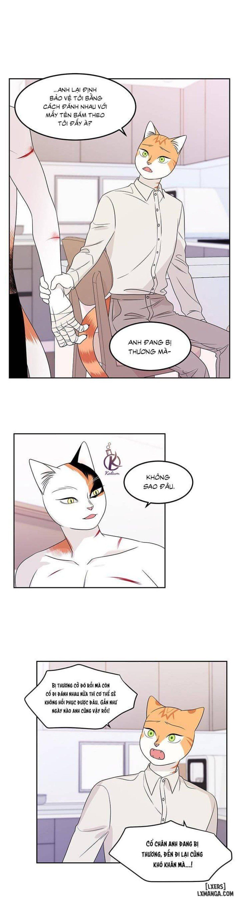 đọc truyện Dự Án Xanh Chương 22 ảnh 9 tại Thiên Thai Truyện