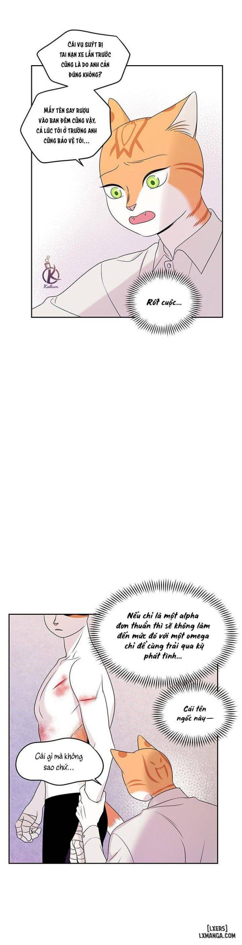 đọc truyện Dự Án Xanh Chương 22 ảnh 10 tại Thiên Thai Truyện