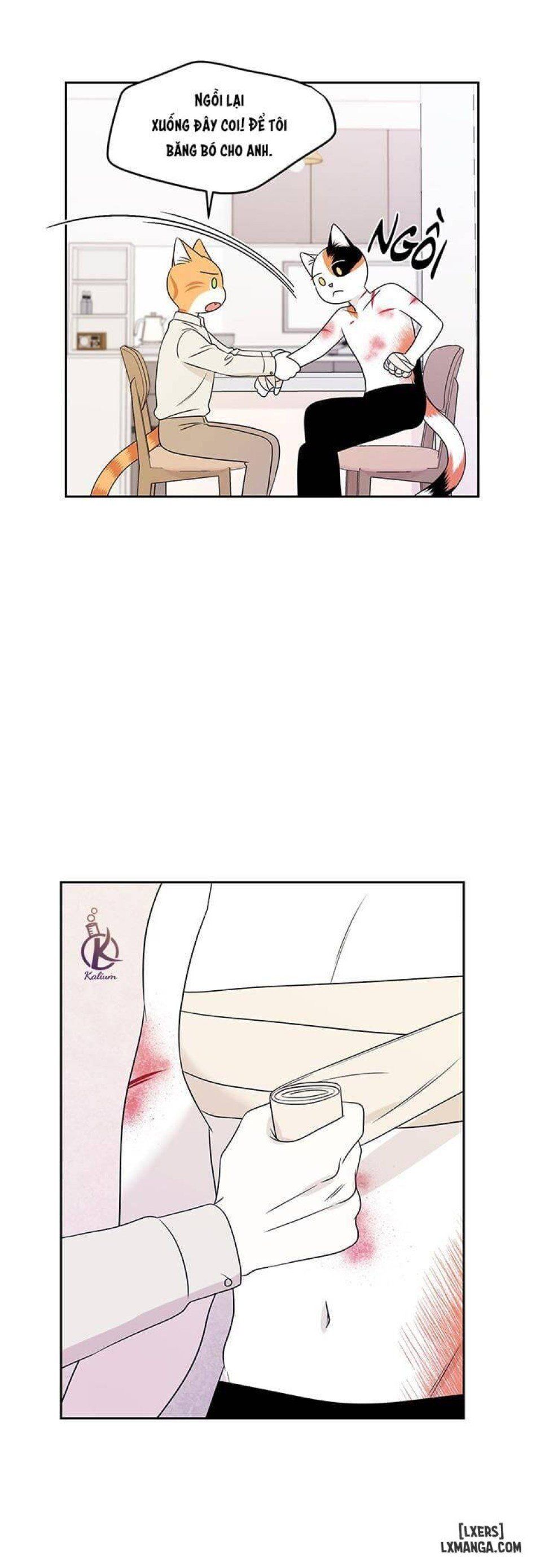 đọc truyện Dự Án Xanh Chương 22 ảnh 11 tại Thiên Thai Truyện