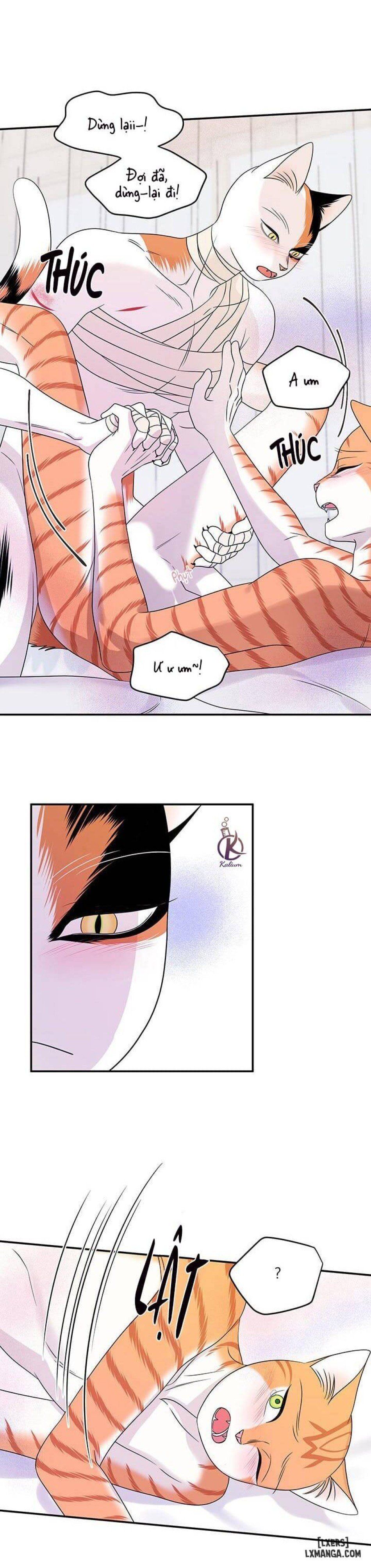 đọc truyện Dự Án Xanh Chương 23 ảnh 12 tại Thiên Thai Truyện