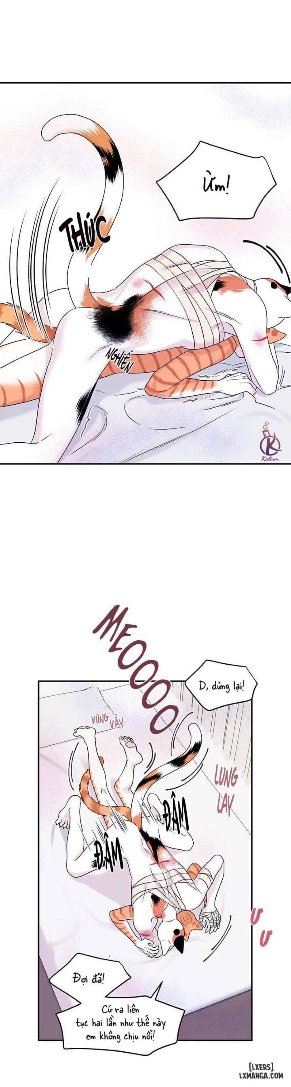 đọc truyện Dự Án Xanh Chương 23 ảnh 13 tại Thiên Thai Truyện