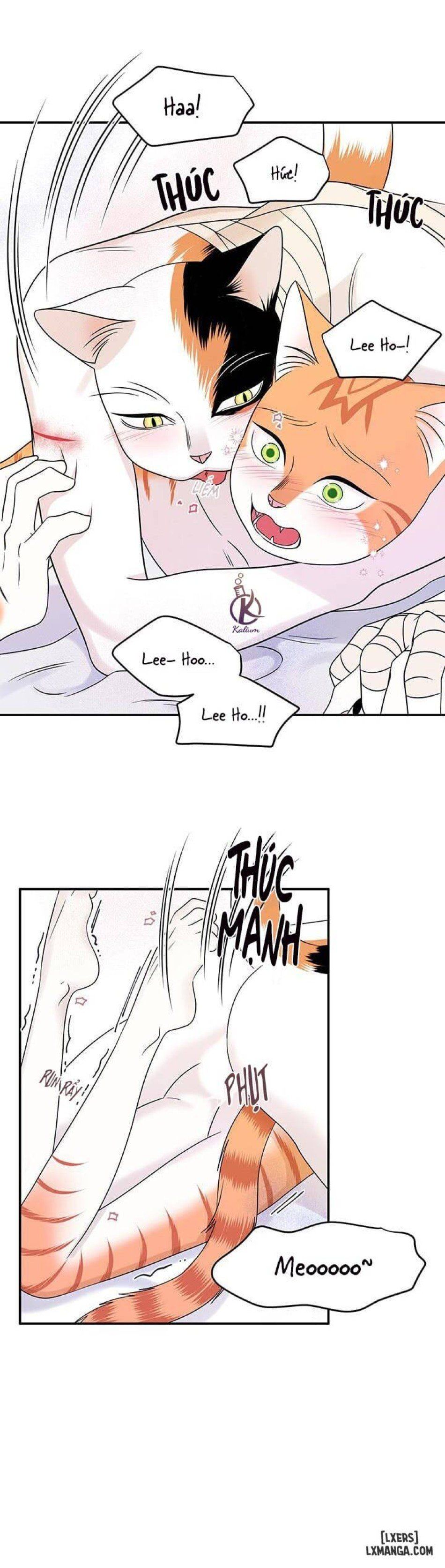 đọc truyện Dự Án Xanh Chương 23 ảnh 14 tại Thiên Thai Truyện