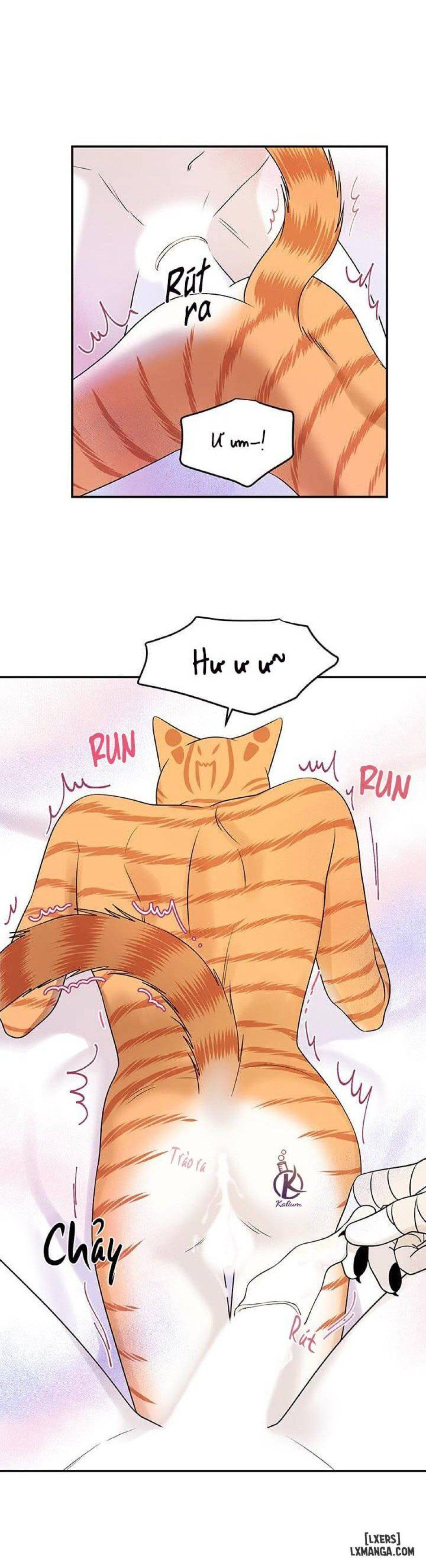 đọc truyện Dự Án Xanh Chương 23 ảnh 16 tại Thiên Thai Truyện