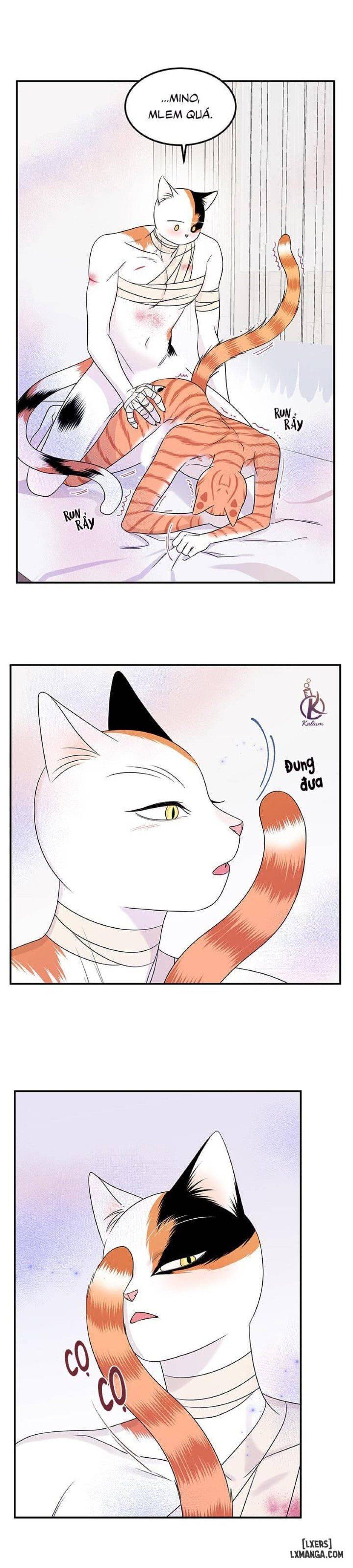 đọc truyện Dự Án Xanh Chương 23 ảnh 17 tại Thiên Thai Truyện