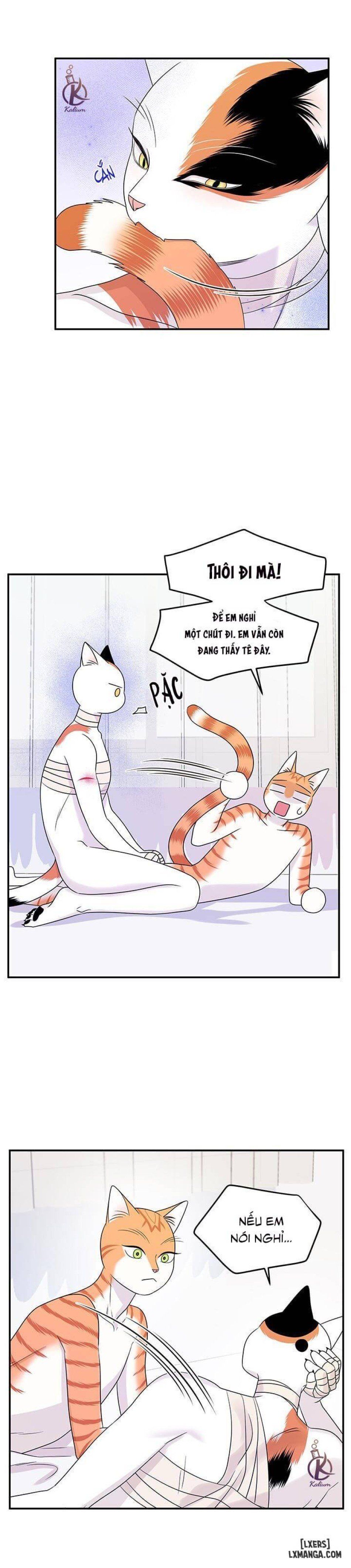 đọc truyện Dự Án Xanh Chương 23 ảnh 18 tại Thiên Thai Truyện