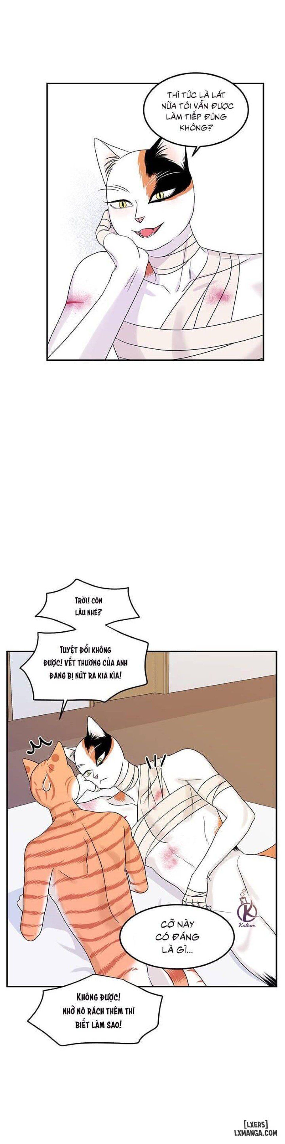 đọc truyện Dự Án Xanh Chương 23 ảnh 19 tại Thiên Thai Truyện