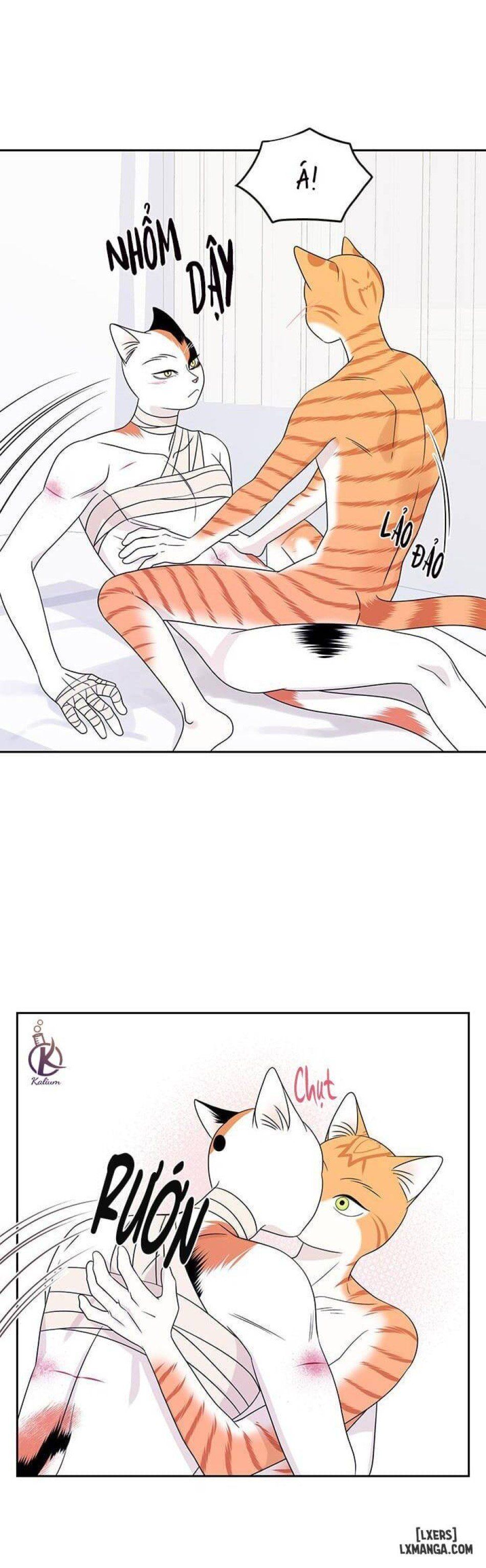 đọc truyện Dự Án Xanh Chương 23 ảnh 4 tại Thiên Thai Truyện