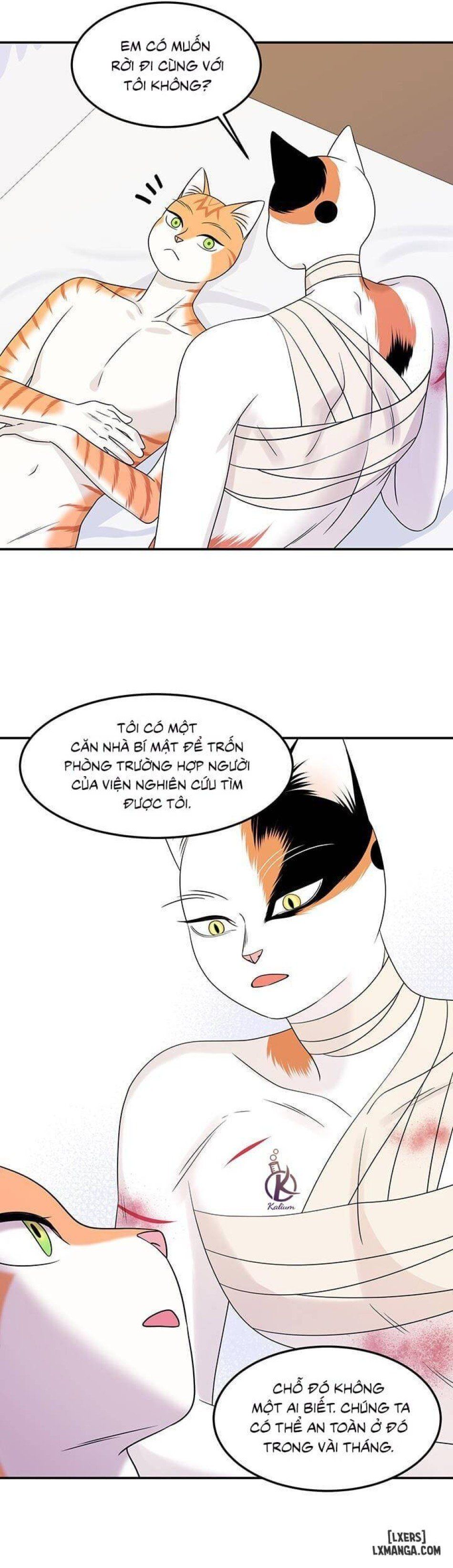 đọc truyện Dự Án Xanh Chương 23 ảnh 22 tại Thiên Thai Truyện