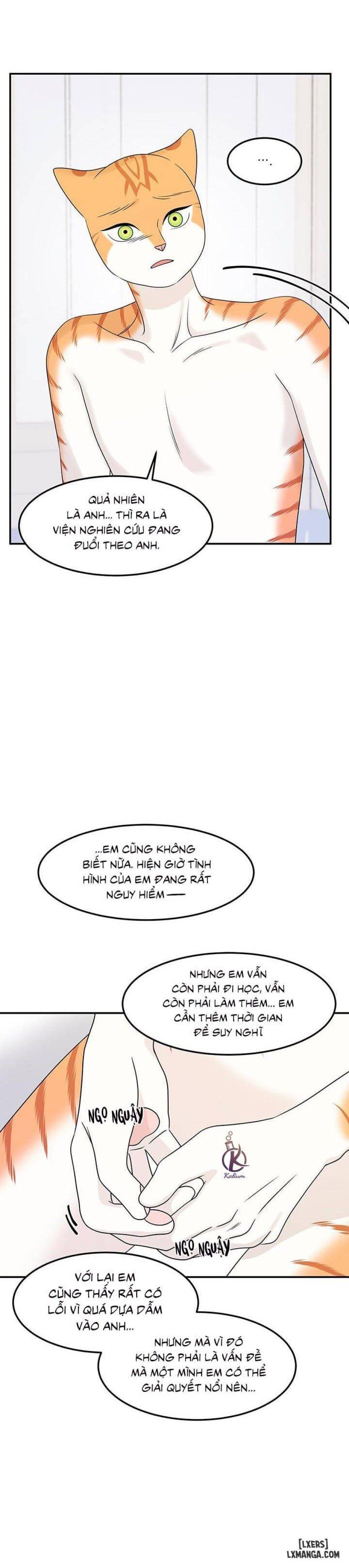 đọc truyện Dự Án Xanh Chương 23 ảnh 23 tại Thiên Thai Truyện