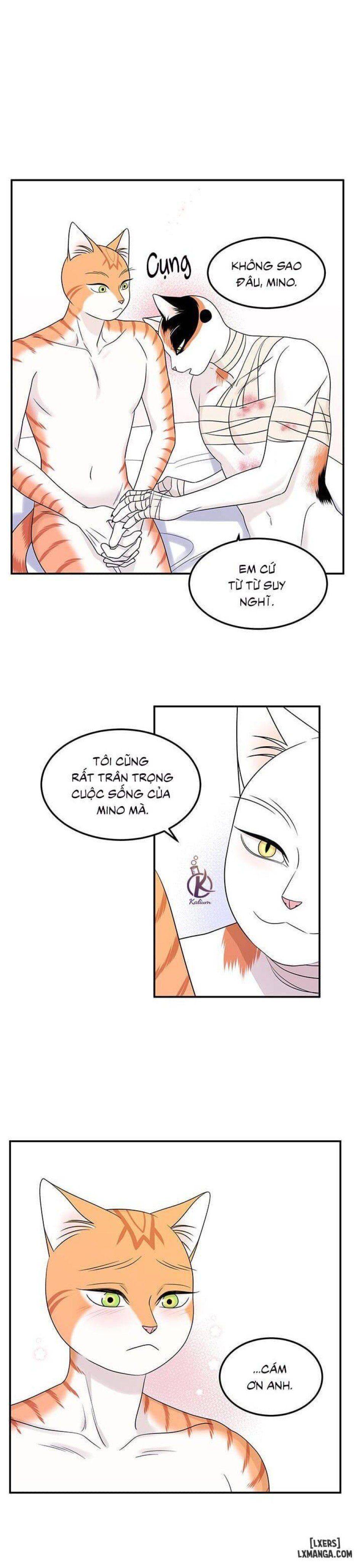 đọc truyện Dự Án Xanh Chương 23 ảnh 24 tại Thiên Thai Truyện